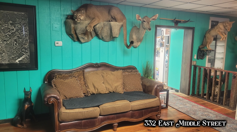 Gypsy Skull Tattoo Hanover PA 17331 tattoo shop tattoo studio tattoos piercing body art