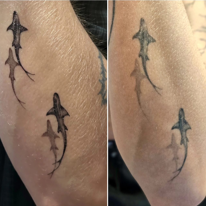 Gypsy Skull Tattoo Hanover PA 17331 Tattoo Studio Tattoo Shop Tattoo Parlor Piercing